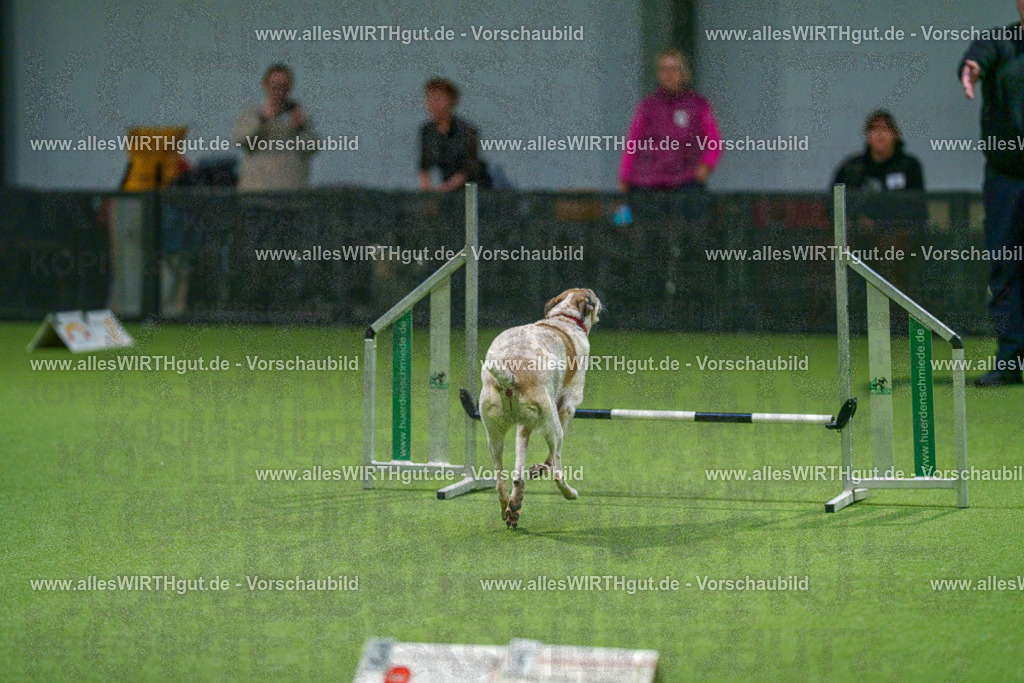 7R505293 | Professionelle Tierfotografie in Mönchengladbach von Daniel Wirth (allesWIRTHgut). Liebevolle & natürliche Bilder von Hunden & Katzen für unvergessliche Erinnerungen.