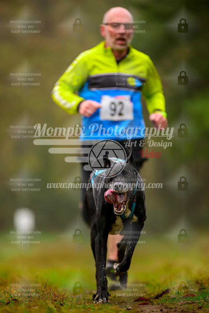 MompixPhotography_Bischwiller2025_Canicross-33 | mompixphotography