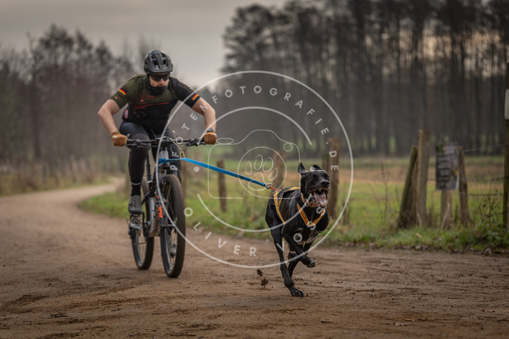 Pfotenfotografie_DV3A1702 | Hundefotografie, Tierfotograf, Pfotenfotografie, Fotoshooting Hund, Hunde Portrait, Hundesport, Hundeportraits, Heideshooting, Hunde, Sportfotograf, Hundefotograf, Turnierhundsport, THS,  - Realisiert mit Pictrs.com