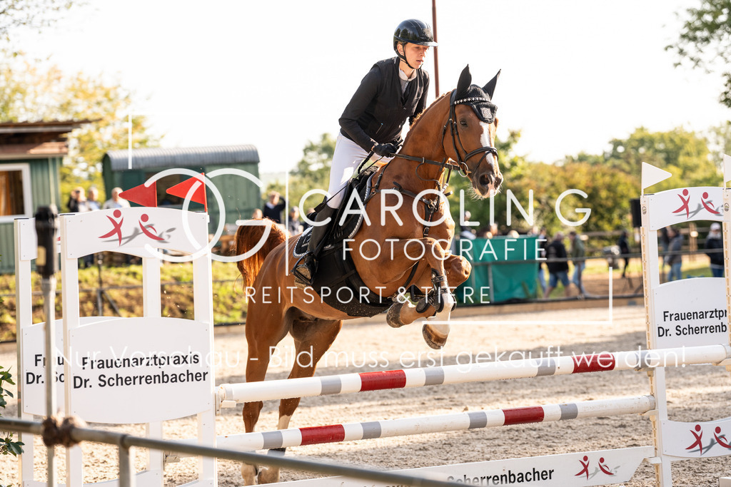 DSC01708 | Carolin Gieschke