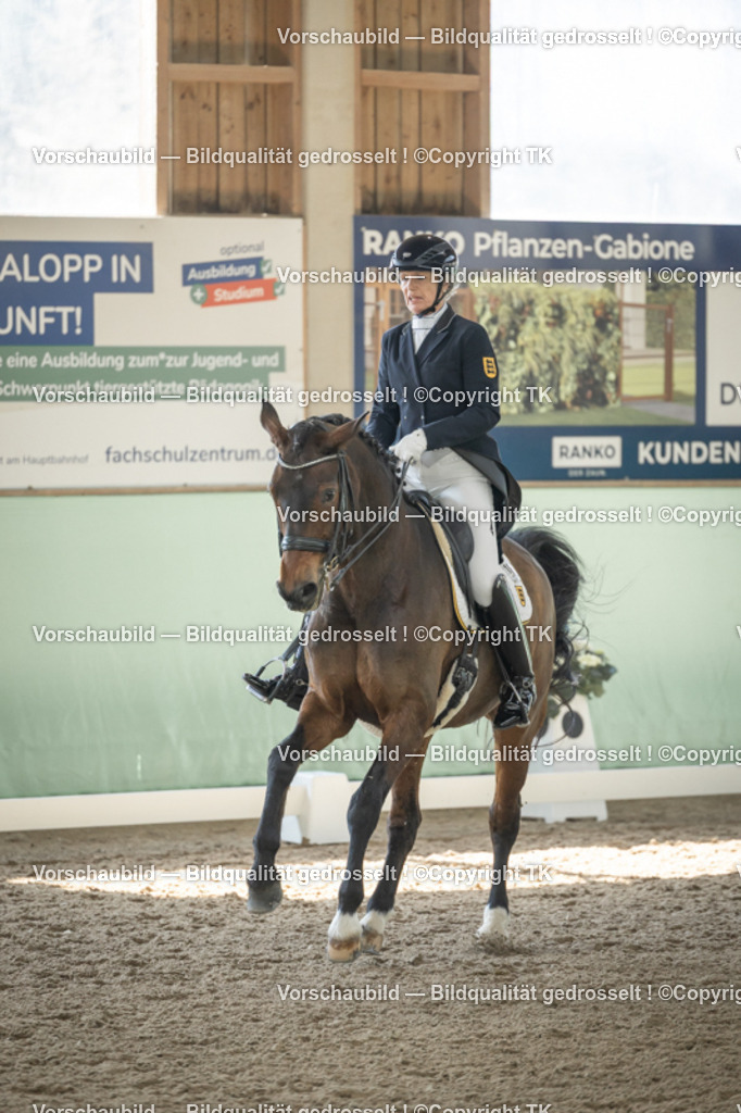 _D5A1529 | Emotionale Pferde- & People-Fotografie rund um Heidelberg, Leimen & Umgebung. Natürliche Fotos von Pferd, Mensch & Familie. Jetzt Termin sichern!