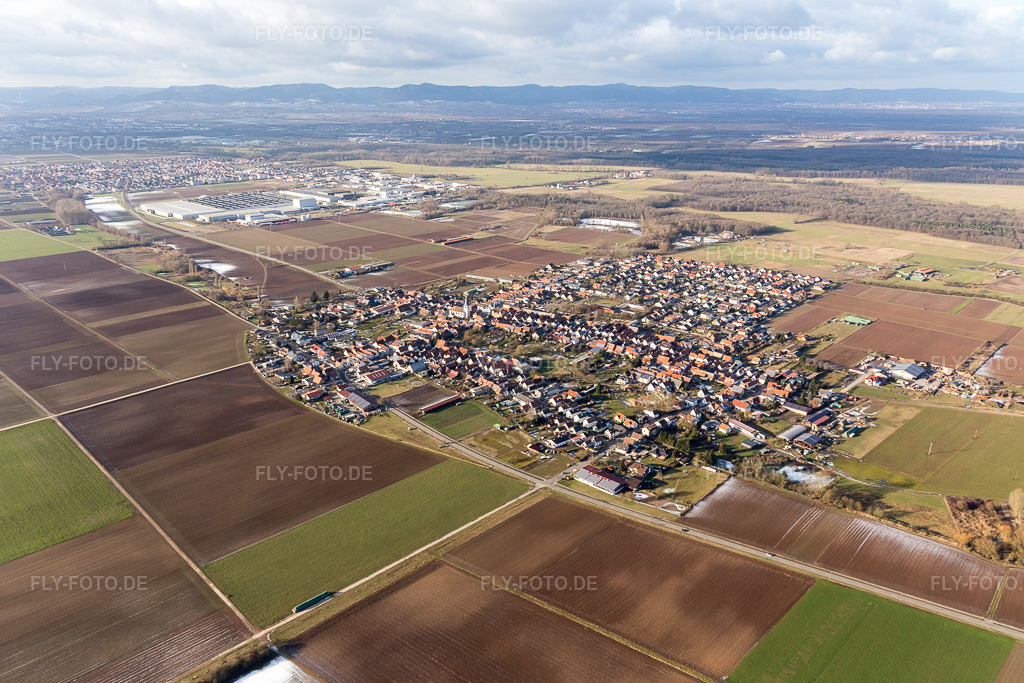 Luftbild: landwirtschaftlichen Feldern und Nutzflächen in Ottersheim bei Landau im Bundesland Rheinland-Pfalz in Deutschland. Foto: IMG_096266.jpg vom 15.01.2017 durch Werner Riehm/FLY-FOTO.de