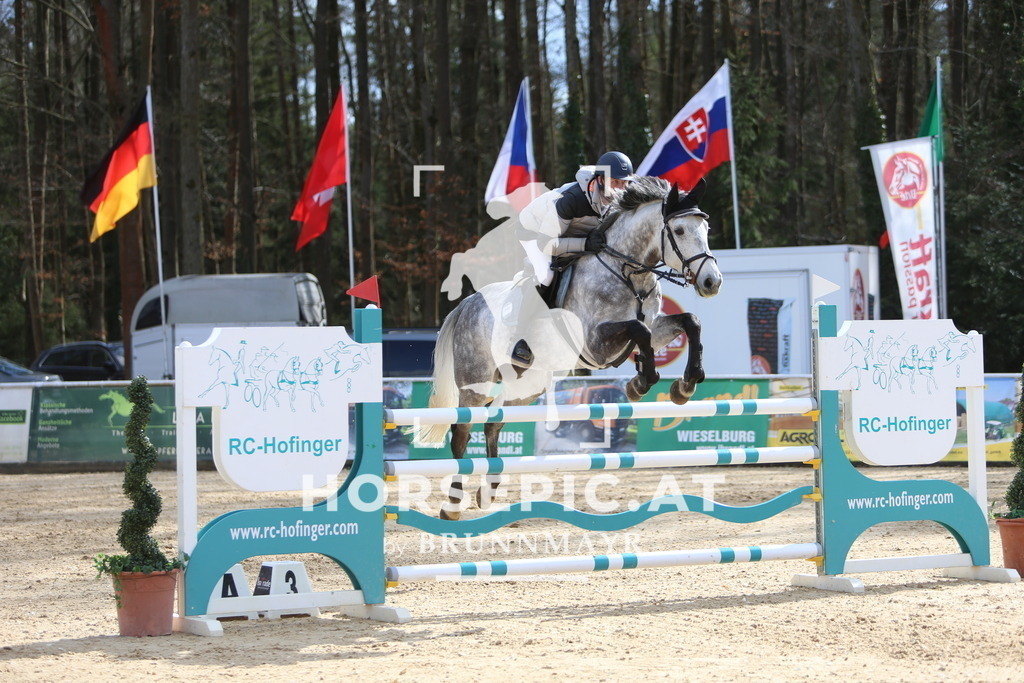 DL2Q0572 | Willkommen bei Brunnmayr - Design & Fotografie – Ihrem Spezialisten für Reitturniere und Pferdeveranstaltungen in Oberösterreich, Salzburg und Bayern! Seit über 17 Jahren sind wir leidenschaftlich dabei.