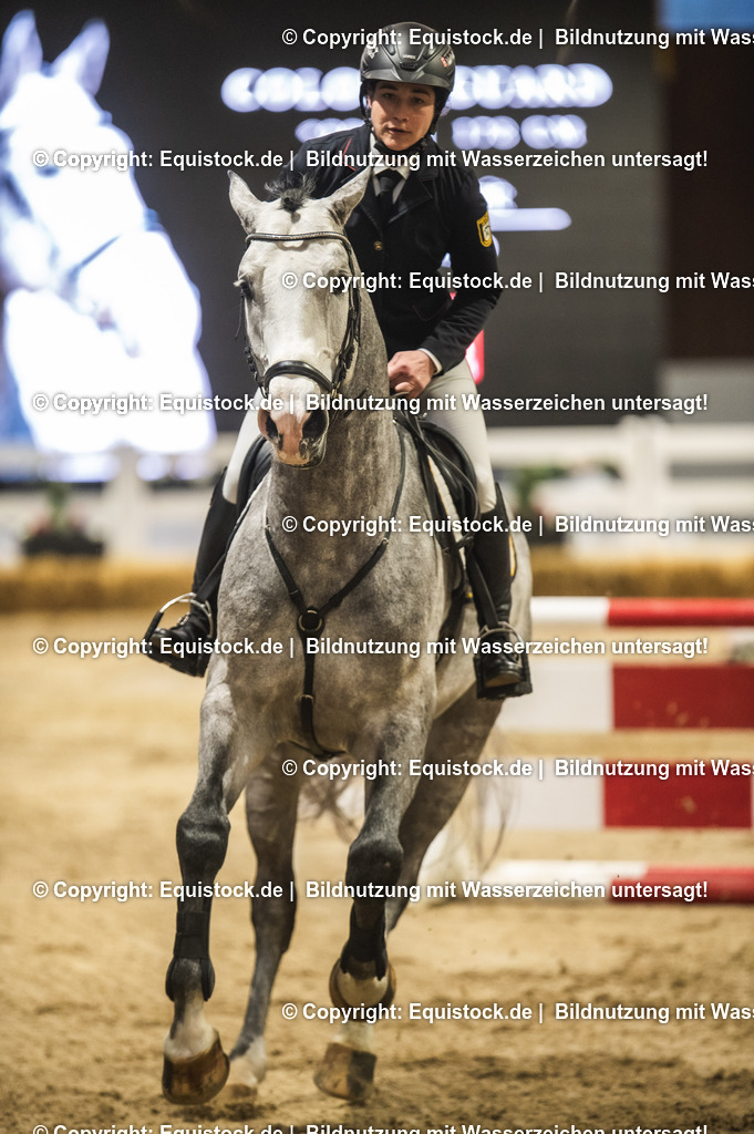 20240302_Hengstvorstellung_Marbach_TOMsPiC_0328-2 | equistock