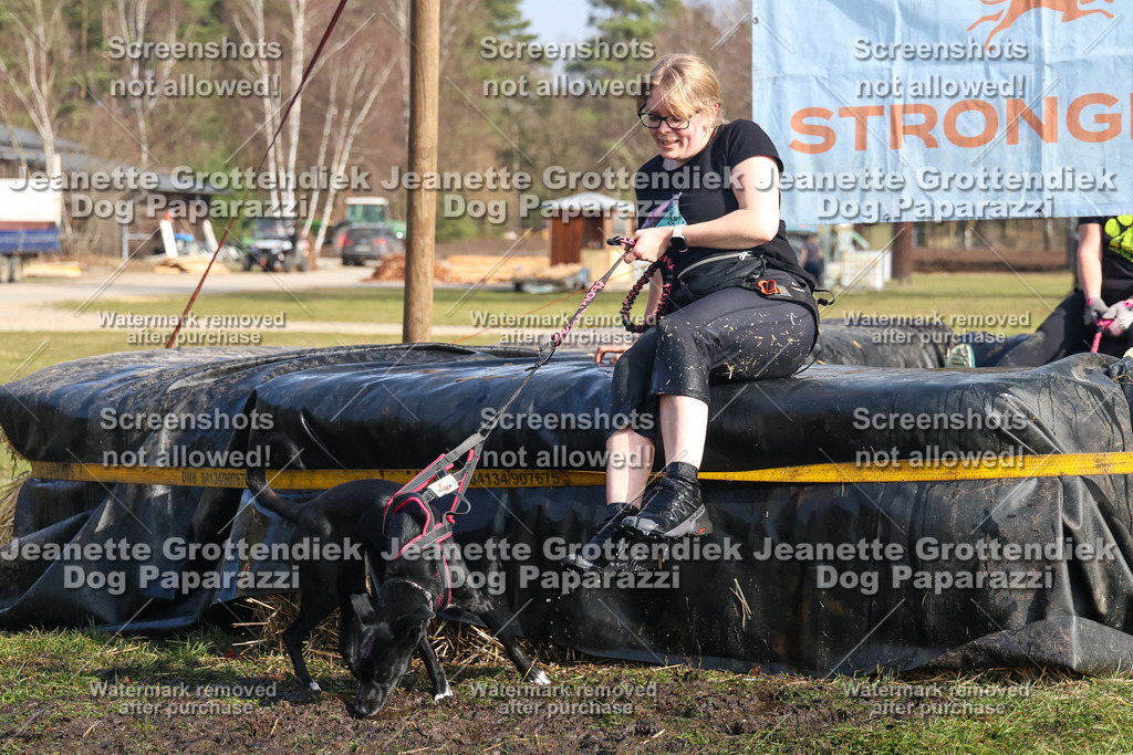 Dog Paparazzi - Strongdog North Mrz26-2423 | Dog Paparazzi Jeanette Grottendiek Fotografie & Videografie - Realisiert mit Pictrs.com