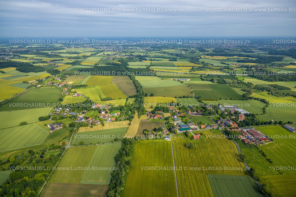 Hamm220602146 | Luftbild, Wiesen und Felder Ortsteil Süddinker, Rhynern, Hamm, Ruhrgebiet, Nordrhein-Westfalen, Deutschland