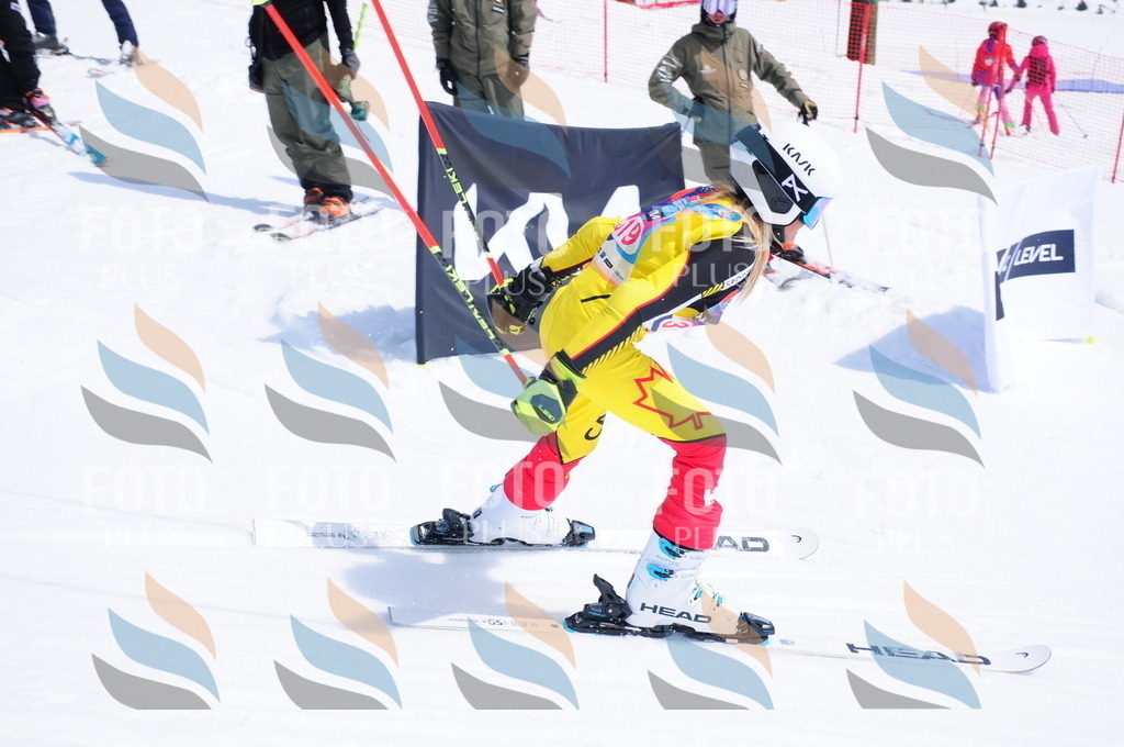 DSC_6844 | holidayphoto