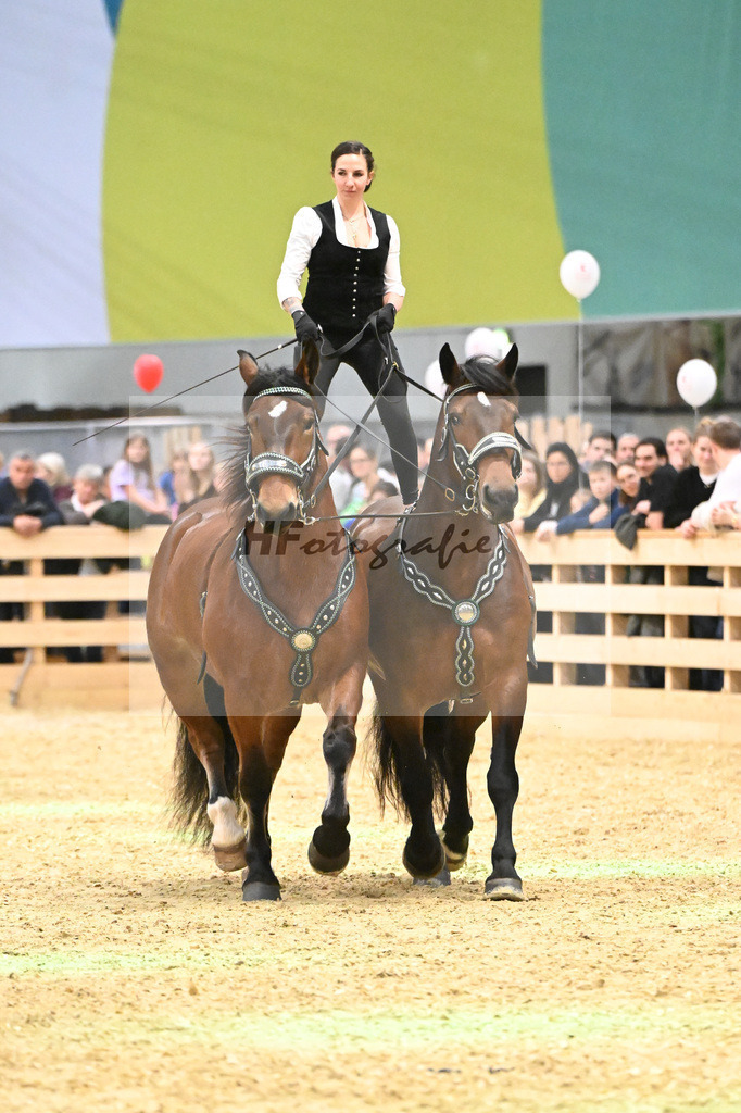 Schauprogramm_Ungar. Post_1260949 | hf-fotografie - Realisiert mit Pictrs.com