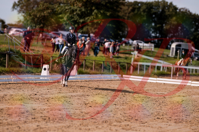2026_10_03_Siefer-Hof_121554_Z81_17723913 | Professionelle Reitsport-, Turnier- und Eventfotografie von Robert Broda. Galerien mit ausgewählten und bearbeiteten Bildern direkt online ansehen und bestellen.