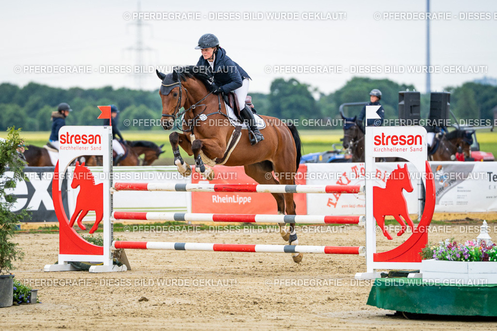 DSC05787 | Pferdegrafie