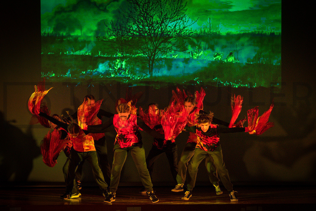 _DSC2011 | Tinu Müller Fotografie- Bildershop - Realisiert mit Pictrs.com