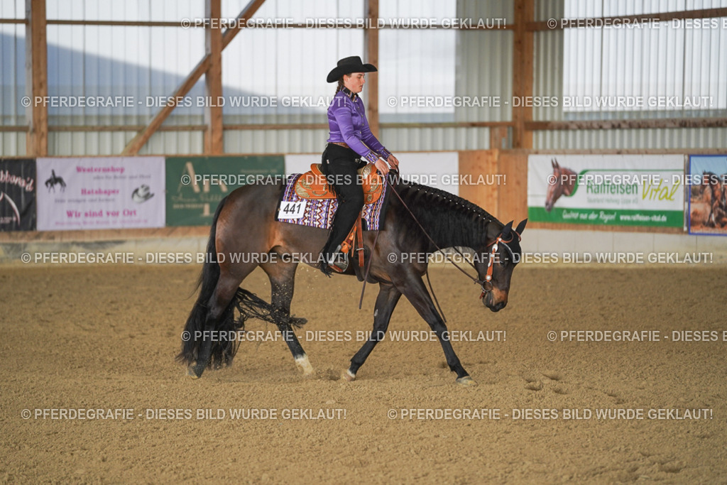 DSC08973 | Pferdegrafie