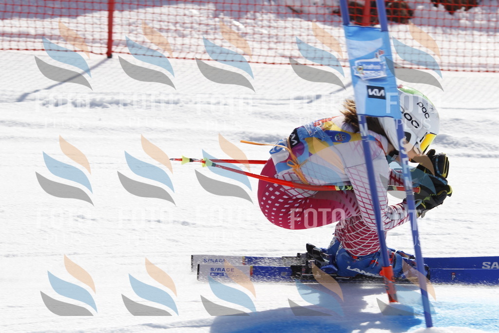 _U3G8847 | holidayphoto