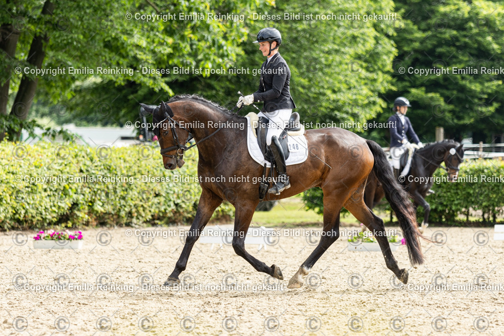 CL5A5800 | Emilia Reinking Fotografie - Realisiert mit Pictrs.com