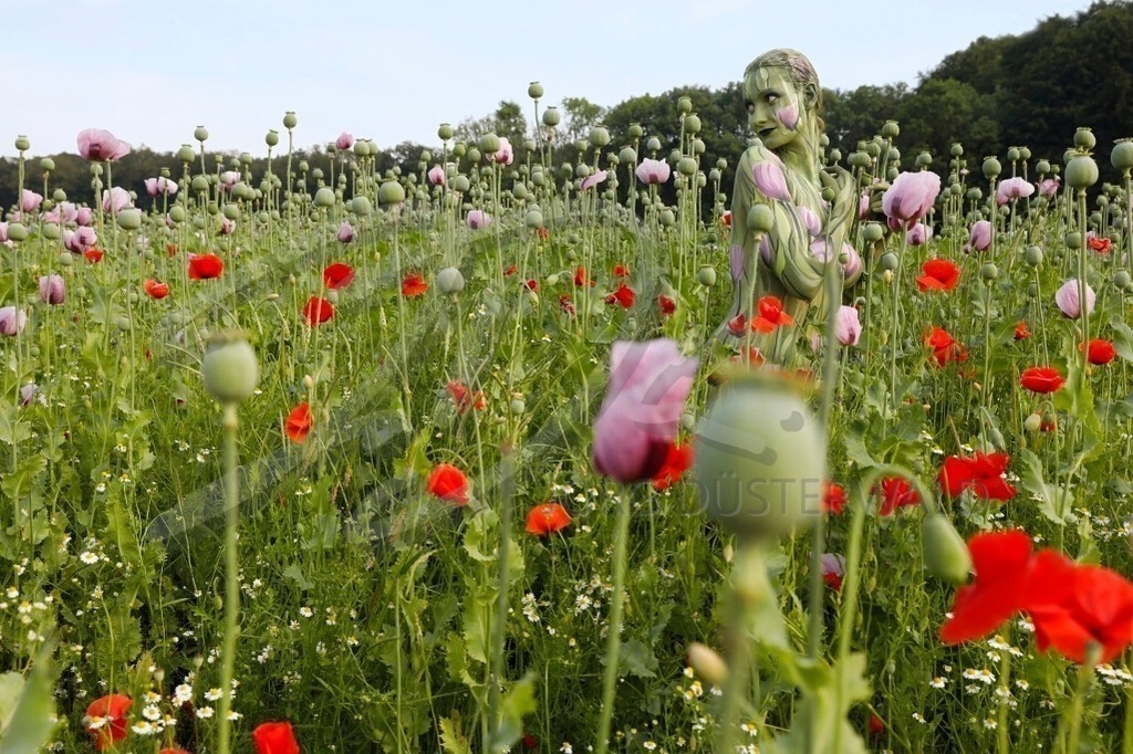 NatureArt-MOHNMIX_0735a | Zwei Farben im Mohnfeld | #009 | Modell: Tina | Foto: Tschiponnique Skupin - Realisiert mit Pictrs.com