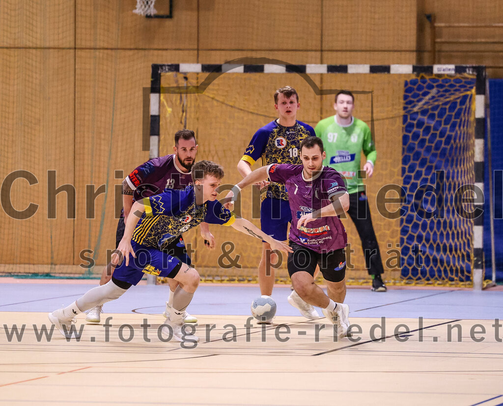 2024-12-14_095_SpVgg_Altenerding_gegen_MTV_Pfaffenhofen | Erding, Deutschland, 14.12.2024:Handball, Bezirksoberliga Männer 2024 / 2025, 10. Spieltag, SpVgg Altenerding gegen MTV Pfaffenhofen, Endergebnis: 32:30Sebastian Forster (SpVgg Altenerding, #13), Loris Alber (MTV Pfaffenhofen, #65), Florian Ostler (MTV Pfaffenhofen, #18), Simon Rüdiger (SpVgg Altenerding, #7)Foto: Christian Riedel / fotografie-riedel.net