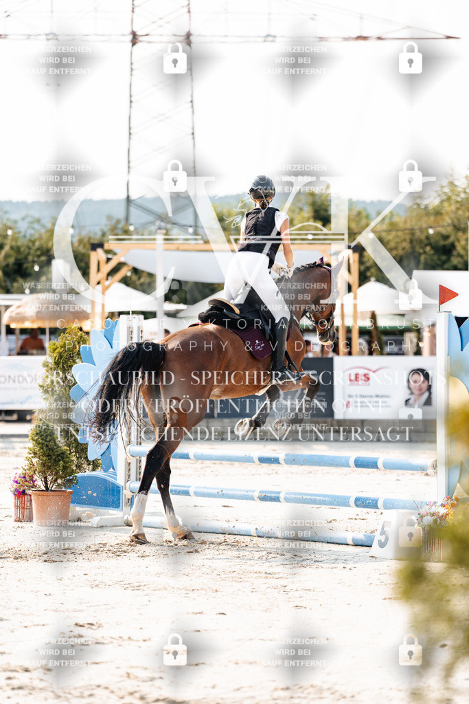 CK902860 | Turnierfotografie Pferdefotografie Trier Rheinland-Pfalz Pferdesport Reitsport Tierfotografie Sportfotografie Pferdevideo Pferdevideografie Equestrianvideography equestrianphotography  - Realisiert mit Pictrs.com