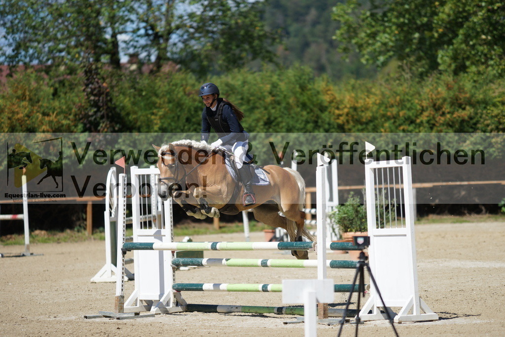 DSC07541 | equestrian-live-com