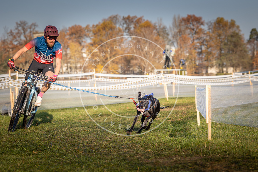 CaniXpix_0L8A4033 | Hundefotografie, Tierfotograf, Pfotenfotografie, Fotoshooting Hund, Hunde Portrait, Hundesport, Hundeportraits, Heideshooting, Hunde, Sportfotograf, Hundefotograf, Turnierhundsport, THS,  - Realisiert mit Pictrs.com