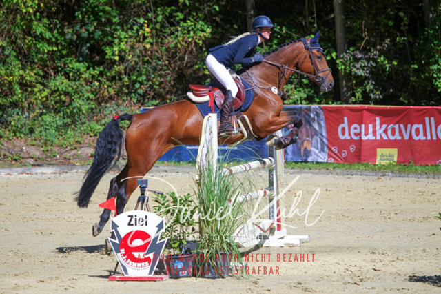 DKP43153 | Turniersportfotografie; Pferdefotografie; Dressurfotografie