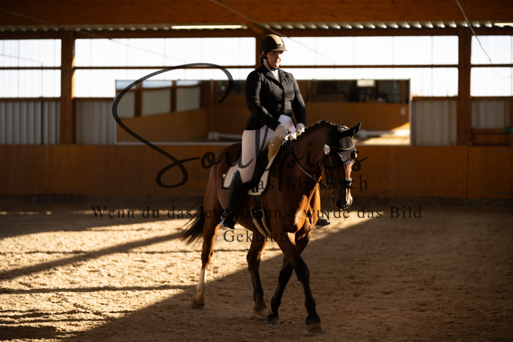 A7V01782 | Turnier/Reitfotograf