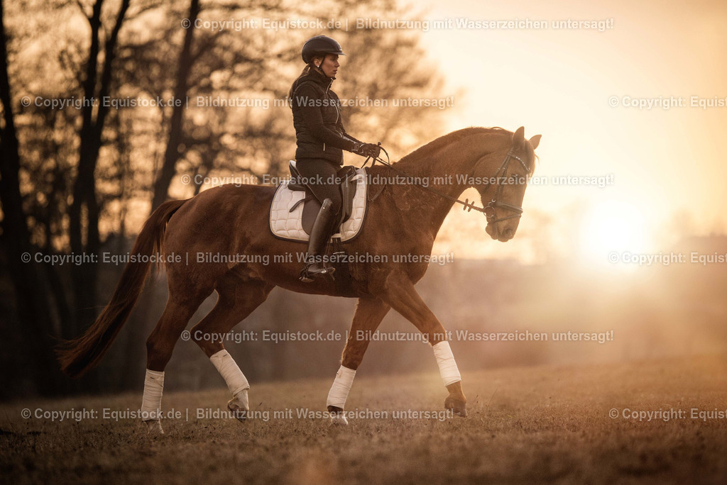 TS_20170215_Fuchs_Sonnenuntergang_0001 1 | Foto: Thomas Hartig