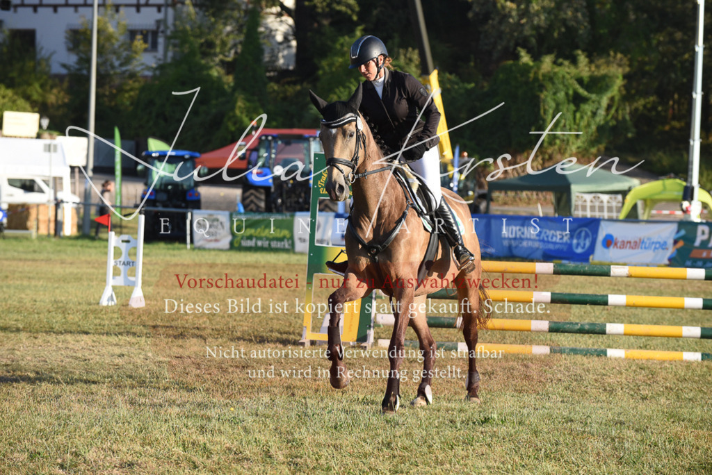 DSC_4826 | Pferde- und Turnierfotografie in Westsachsen. Pferdeportraits, Auftragszeichnungen und intuitive Kunst.