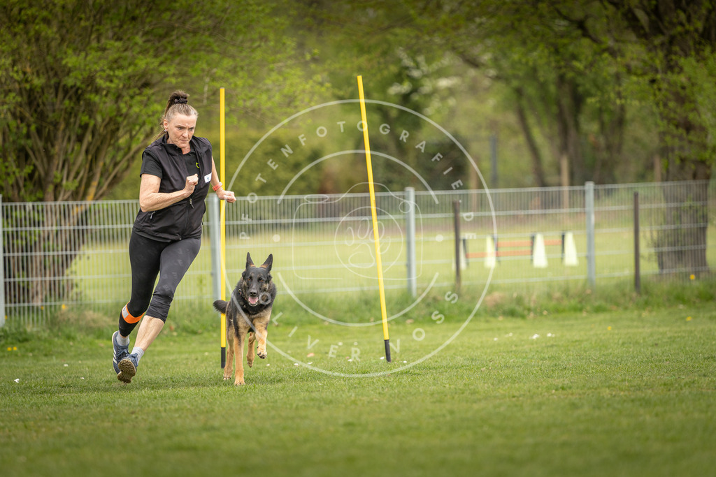 Pfotenfotografie_DV3A7475 | Hundefotografie, Tierfotograf, Pfotenfotografie, Fotoshooting Hund, Hunde Portrait, Hundesport, Hundeportraits, Heideshooting, Hunde, Sportfotograf, Hundefotograf, Turnierhundsport, THS,  - Realisiert mit Pictrs.com