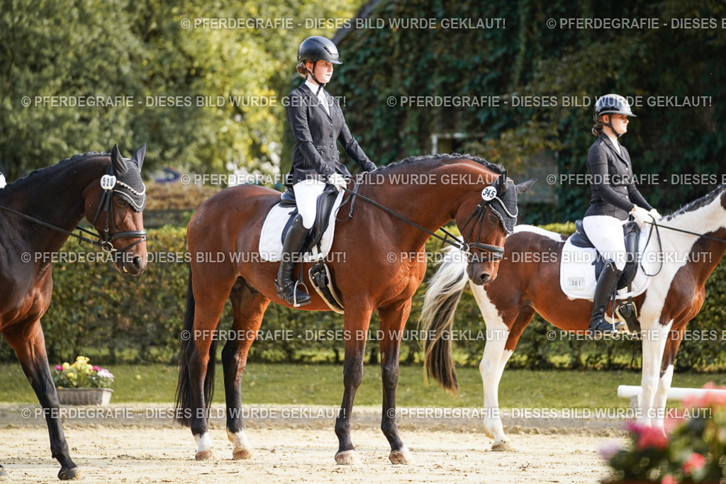 DSC05599 | Pferdegrafie