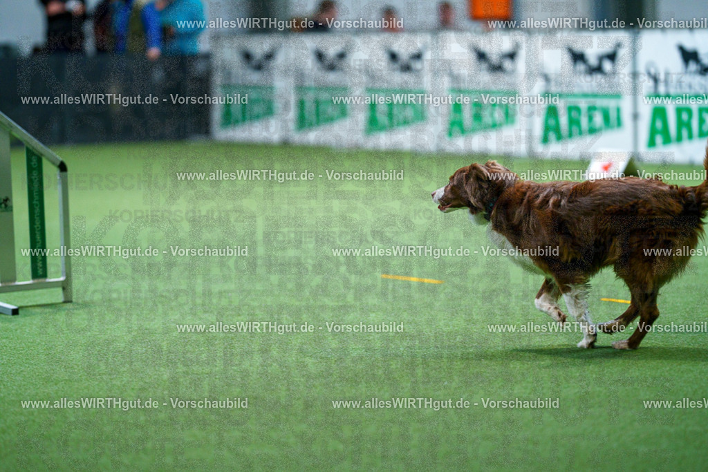 7R501680 | Professionelle Tierfotografie in Mönchengladbach von Daniel Wirth (allesWIRTHgut). Liebevolle & natürliche Bilder von Hunden & Katzen für unvergessliche Erinnerungen.