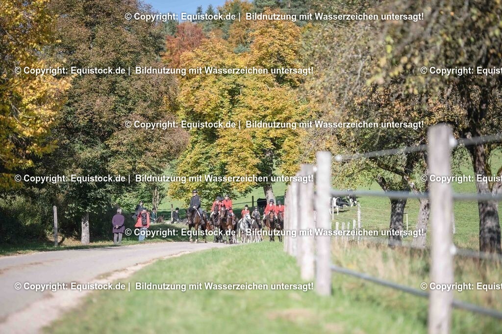 20251011_Jagd-Marbach_0568 | Foto: Thomas Hartig