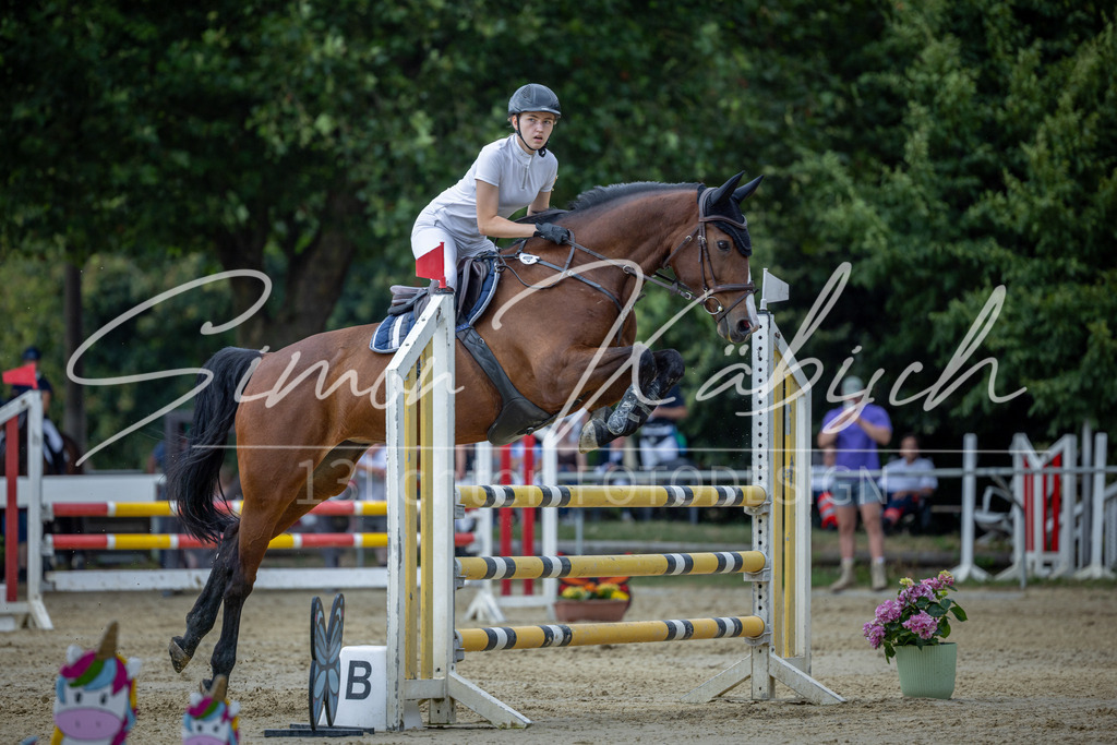 20260704-_3LI1396 | Tierfotografie Pferde, Hunde, Katzen, Haustiere.
Turnierfotografie Reitturniere, Reiten, Springreiten, Dressur in Hanau, dem Main-Kinzig-Kreis und dem Rhein-Main- Gebiet um Frankfurt