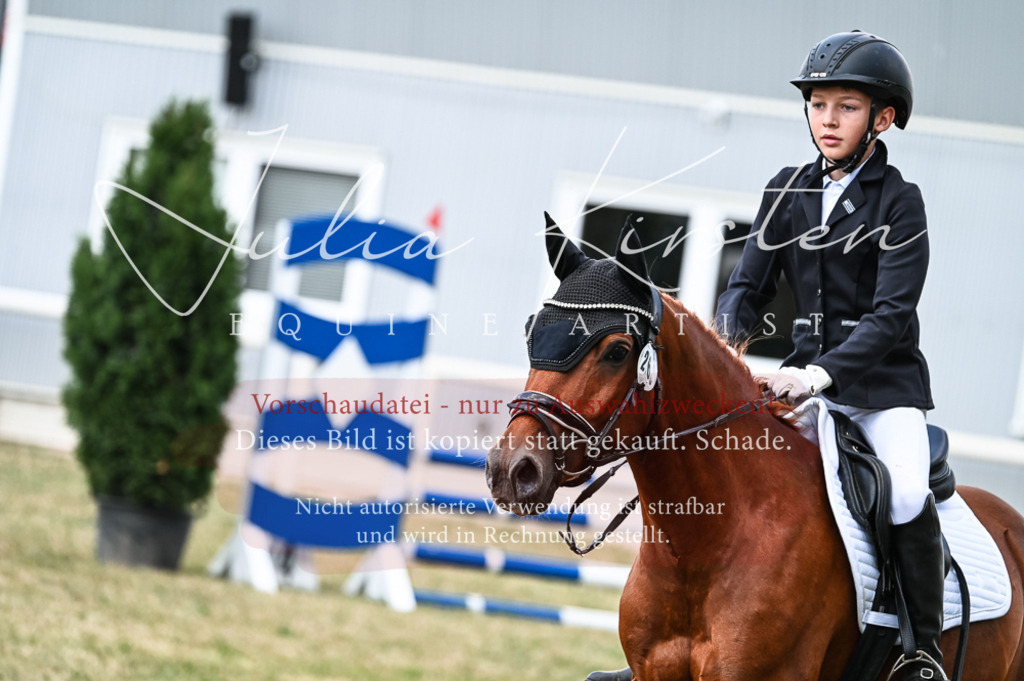 DSC_9072 | Pferde- und Turnierfotografie in Westsachsen. Pferdeportraits, Auftragszeichnungen und intuitive Kunst.