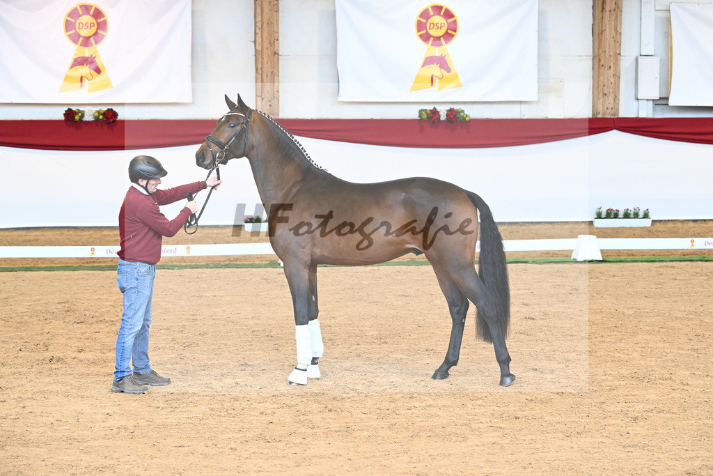 Kat-Nr. 40 Monte Carlo TC x Finest_Gestuet Greim_43230327 | hf-fotografie - Realisiert mit Pictrs.com