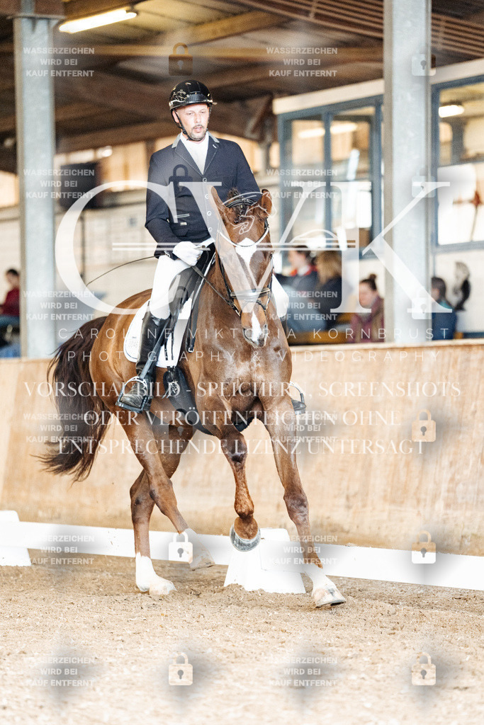 CK901644 | Turnierfotografie Pferdefotografie Trier Rheinland-Pfalz Pferdesport Reitsport Tierfotografie Sportfotografie Pferdevideo Pferdevideografie Equestrianvideography equestrianphotography  - Realisiert mit Pictrs.com