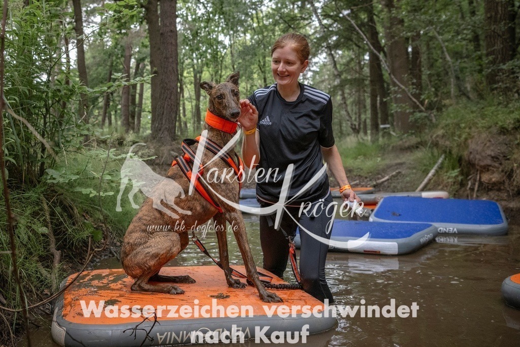 0853_ZZ99807T | kk-dogfotos