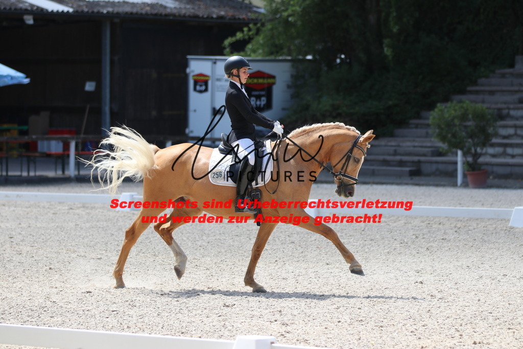 IMG_4611 | lmwpictures - Realisiert mit Pictrs.com