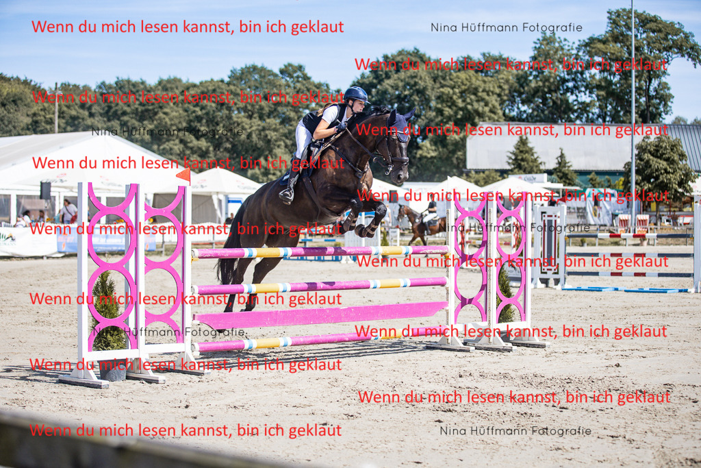 BK1A6855 | Turnierbilder Turnierfotos Nina Hüffmann Turnierfotografie Pferdefotografie Tierzeichnung Haustierzeichnung Pferdezeichnung Hundezeichnung Videograf  - Realisiert mit Pictrs.com