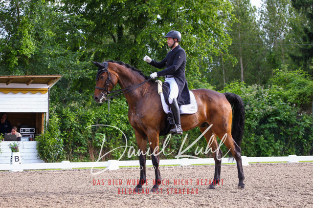 DKP41749 | Deine Turnierfotos vom Reitturnier online kaufen: Dressur, Springen & Siegerehrung. Professionelle Pferdefotografie aus dem Rheinland – als Download & Print.Alternative: Turnierfotograf für den Pferdesport: Finde deine Fotos von Dressur- und Springturnier