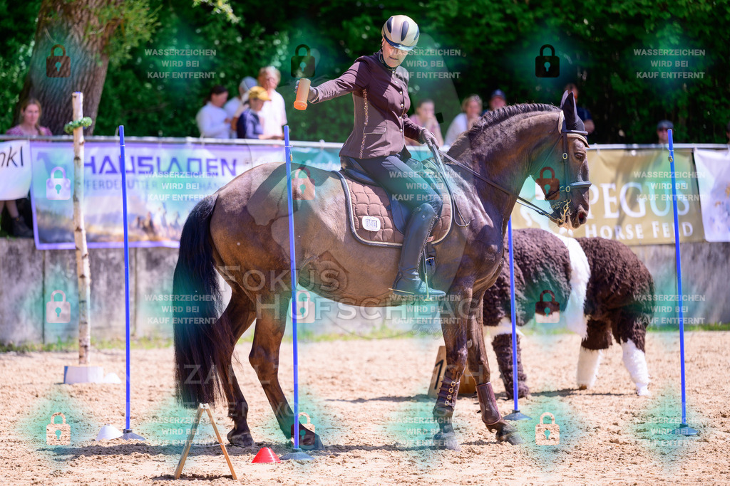 03052026-Giesenbach-05-Stiltrail-0513 | Fokus Hufschlag Fotografie - Realisiert mit Pictrs.com