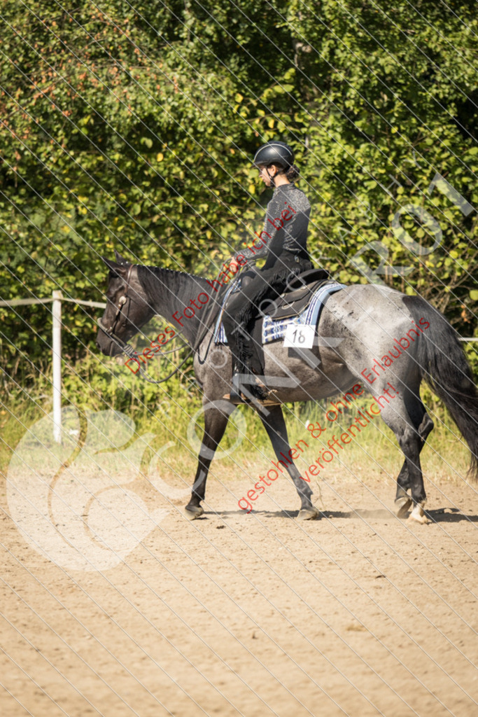 IMG_7637 | Sport-, Event- und Tierfotos in Profiqualität. Einfach auswählen, bestellen und herunterladen. Dein Moment – perfekt festgehalten.