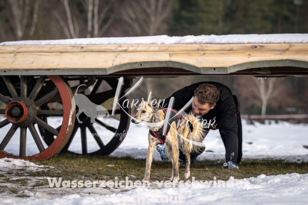 0818_ZZ91288-5 | kk-dogfotos
