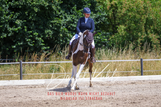 DKP46378 | Turniersportfotografie; Pferdefotografie; Dressurfotografie