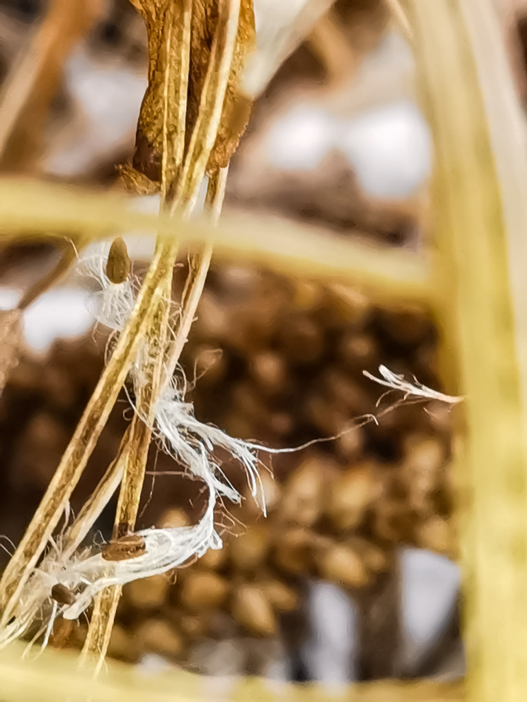 PSX_20230122_221951 | mtkfoto_ - Realisiert mit Pictrs.com