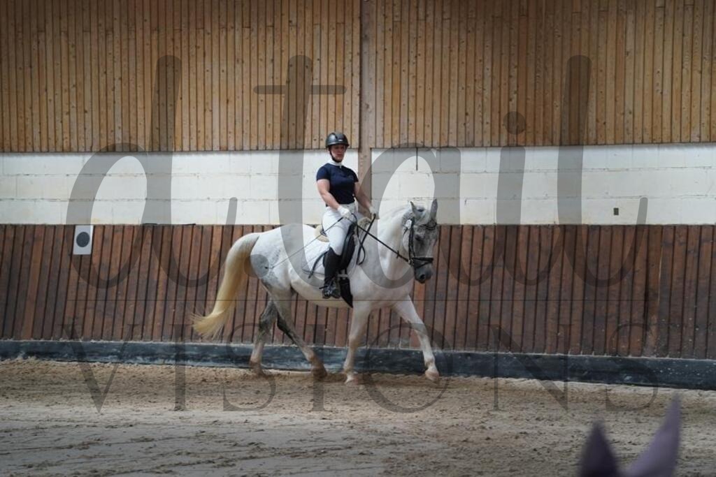 beckingen (253) | d.tail Visions - Shop - Realisiert mit Pictrs.com