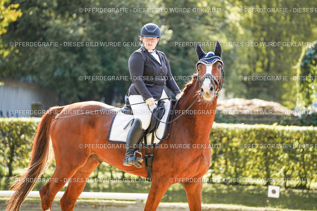 DSC06940 | Pferdegrafie