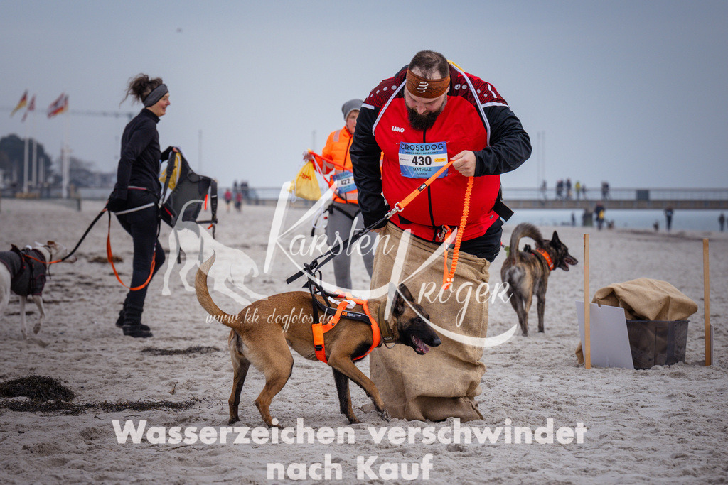 1200_ZZ91651 | kk-dogfotos