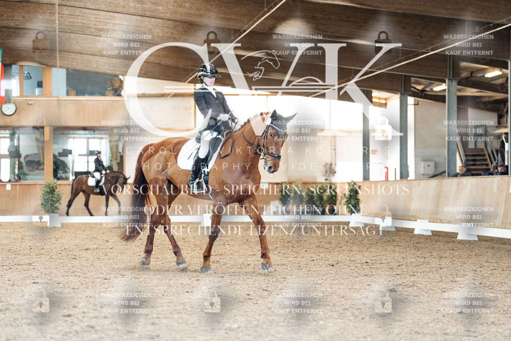CK908713 | Turnierfotografie Pferdefotografie Trier Rheinland-Pfalz Pferdesport Reitsport Tierfotografie Sportfotografie Pferdevideo Pferdevideografie Equestrianvideography equestrianphotography  - Realisiert mit Pictrs.com