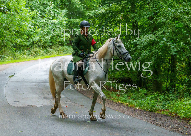 Jagd Kletkamp 26-02793_MarinaHewig | Fotografie, FotoArt, PferdesportArt, Pferdesportfotografie, Landschaftsfotografie, Reisefotografie, Reise, Pferde - Realisiert mit Pictrs.com