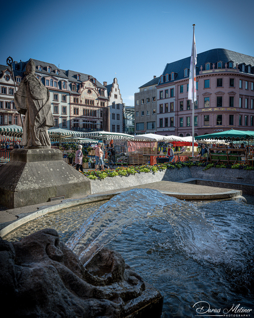 _DSC8749 | Fotografien, Fotos und Bilder aus Mainz, Frankfurt, Wiesbaden und anderen Orten auf der Welt - Fotografiert von Darius Metzner